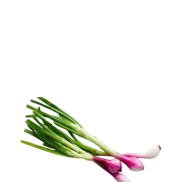 Spring Onion \  कांद्याची पात